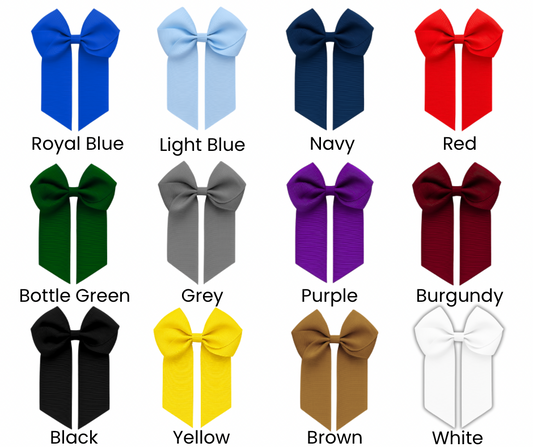 School Hair Bow Clips